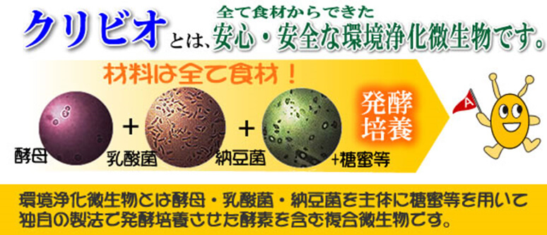 「食材菌」で作られた環境浄化微生物「クリビオ（えひめAI-1）」とは