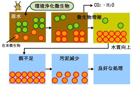 POINT3　排水の分解