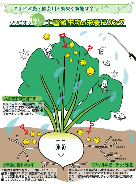 POINT4　堆肥の発酵促進