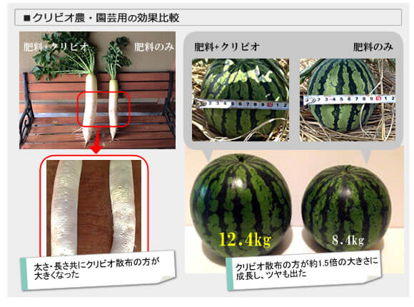 POINT5　植物の生育促進および土壌改良