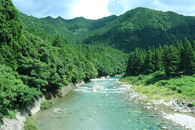 クリビオで川がきれいになるまで